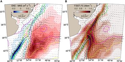 Shelf Water Export at the Brazil-Malvinas Confluence Evidenced From Combined in situ and Satellite Observations